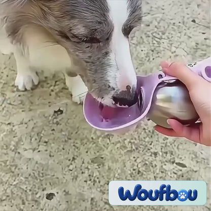 Paslanmaz Çelik Köpek & Kedi Suluğu